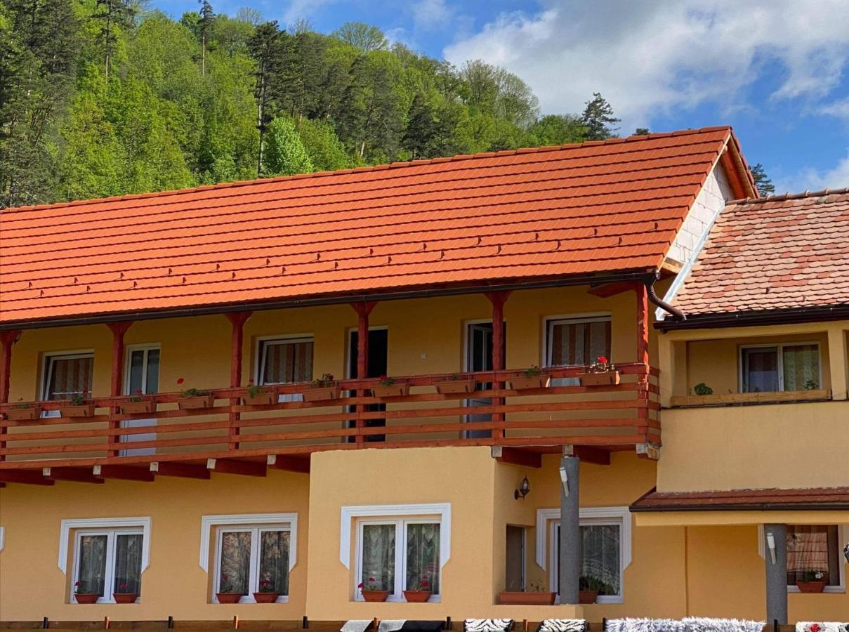 Hotel Rajni Panzio Praid Zewnętrze zdjęcie
